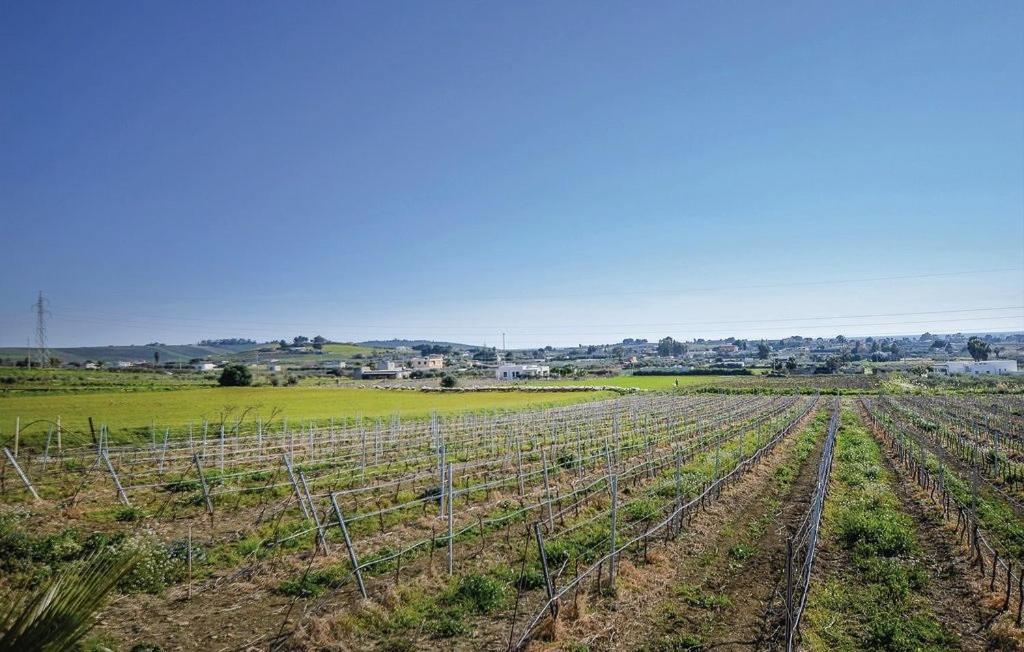 Villa Teresa Tra Il Mare E La Campagna メンフィ エクステリア 写真